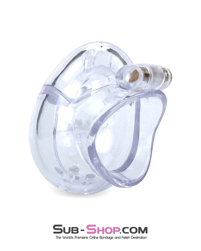 0740M      Small Egg Cock and Balls Chastity Cage with Spiked Anti Pull Off Ball Torture Ring