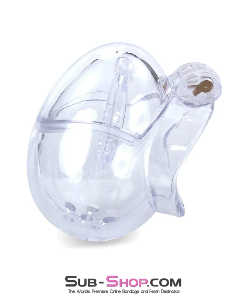 0740M      Small Egg Cock and Balls Chastity Cage with Spiked Anti Pull Off Ball Torture Ring