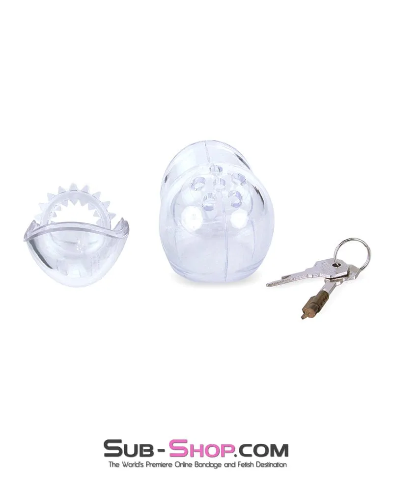 0741M      Medium Egg Cock and Balls Chastity Cage with Spiked Anti Pull Off Ball Torture Ring