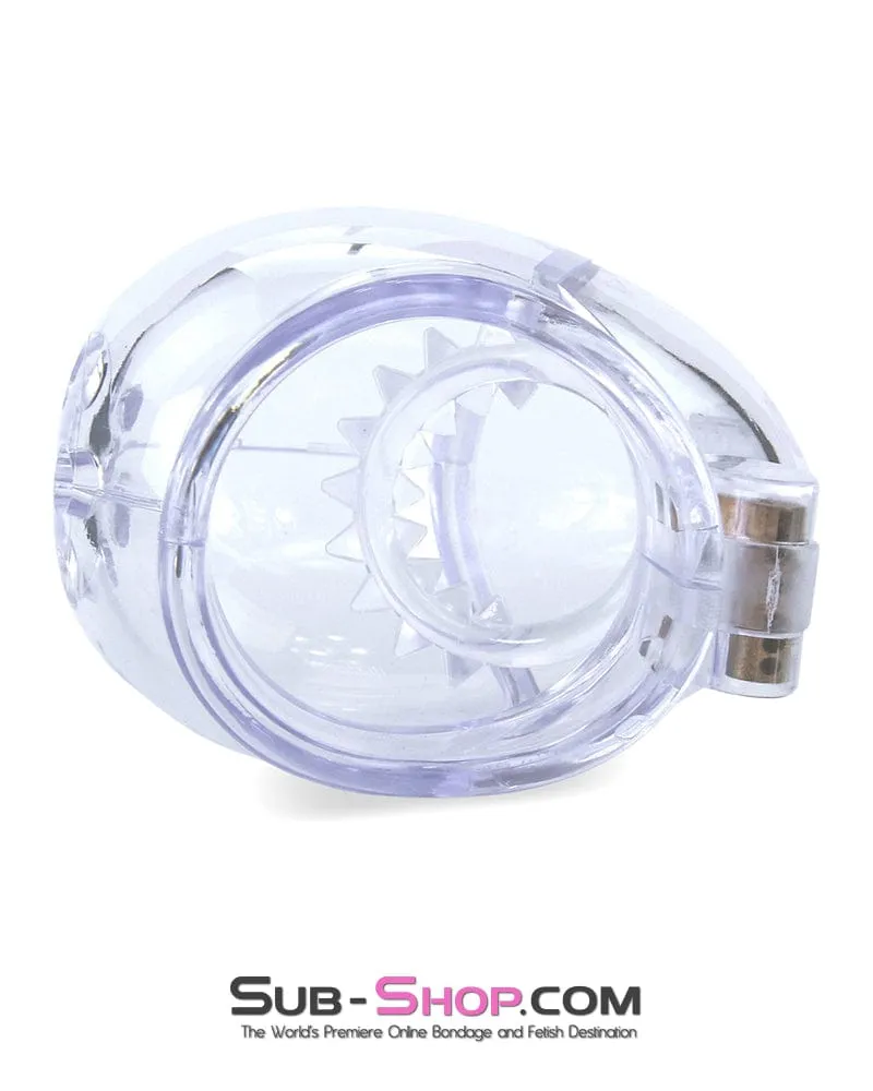 0741M      Medium Egg Cock and Balls Chastity Cage with Spiked Anti Pull Off Ball Torture Ring