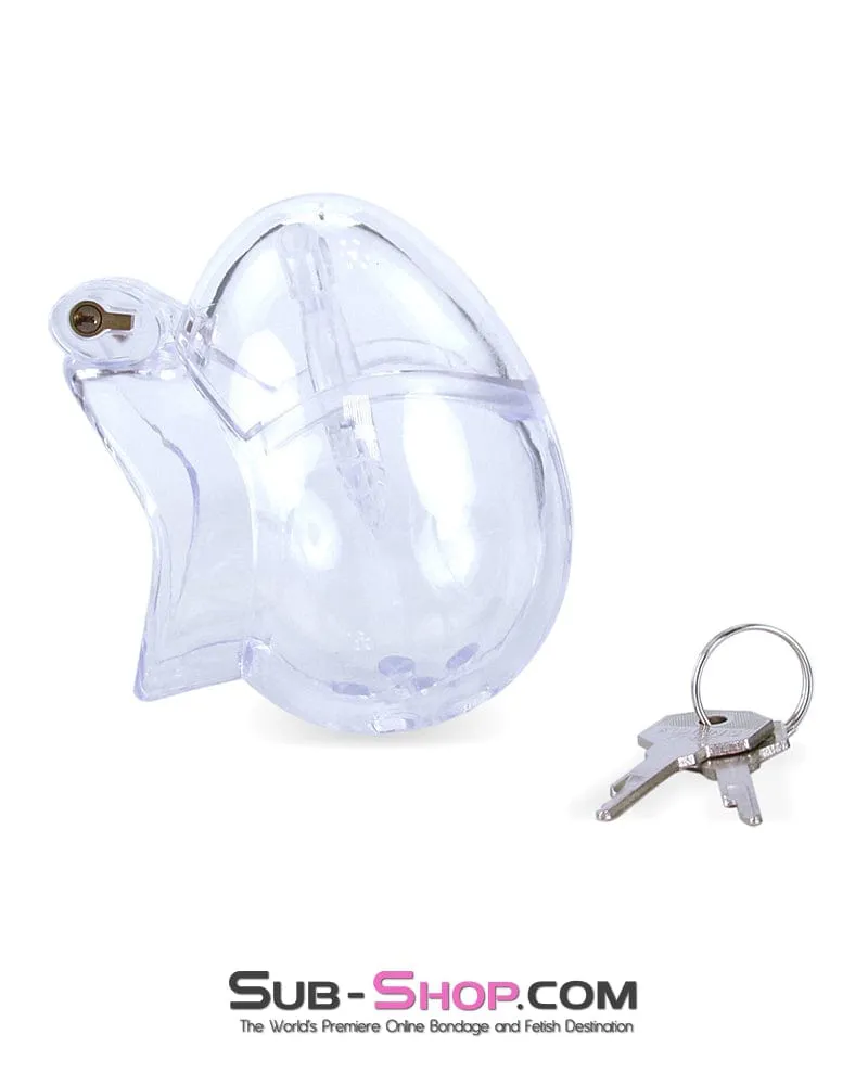 0741M      Medium Egg Cock and Balls Chastity Cage with Spiked Anti Pull Off Ball Torture Ring