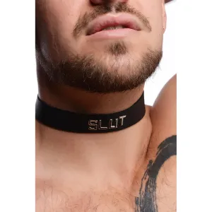 Leather Identification Collars