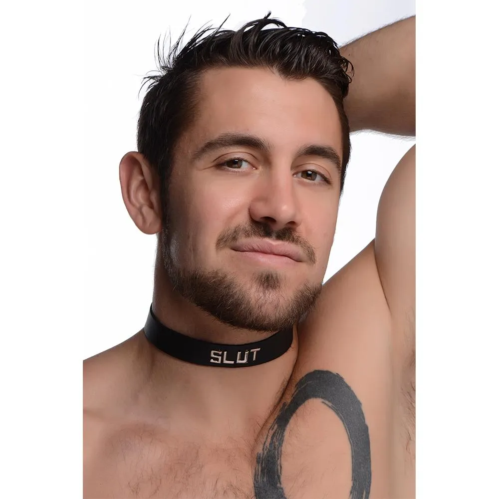 Leather Identification Collars