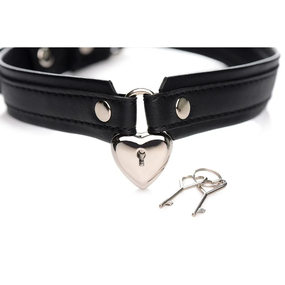 Locking Heart Collar