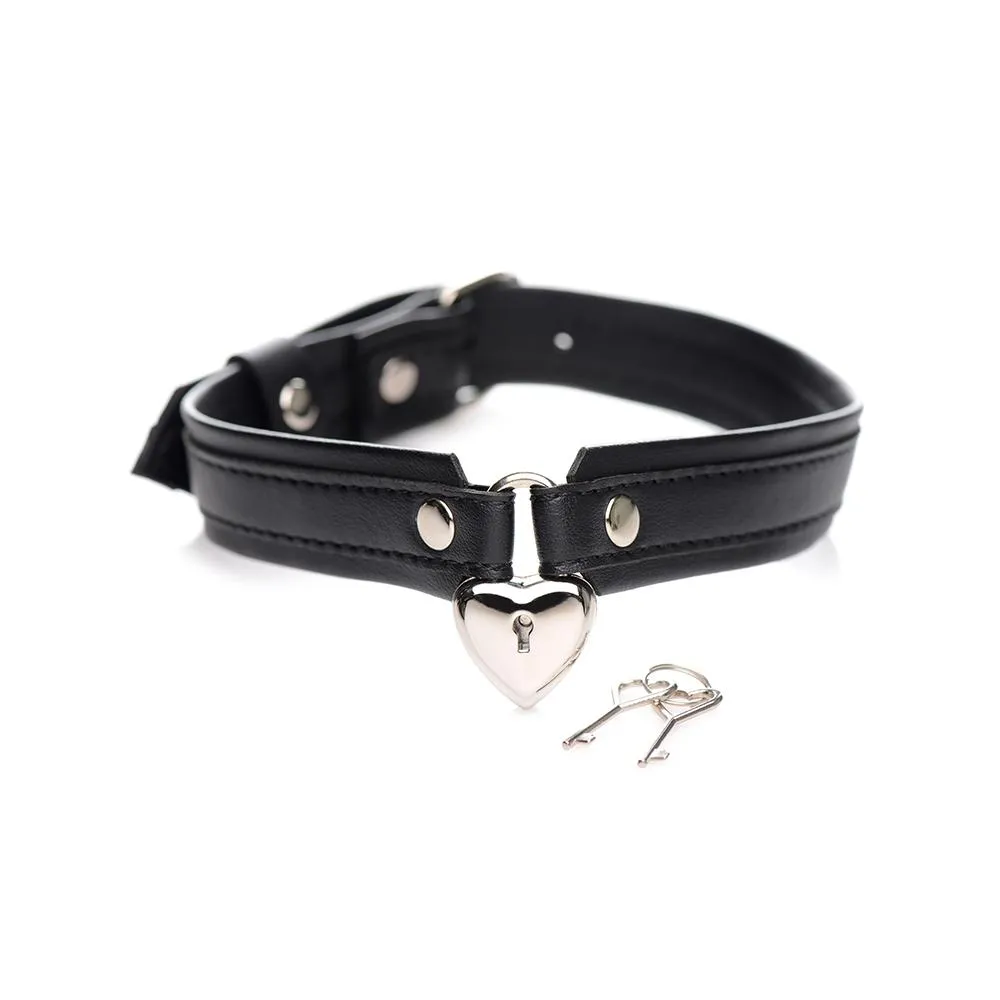 Locking Heart Collar