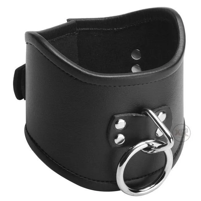 Strict Leather Lockable Posture Collar