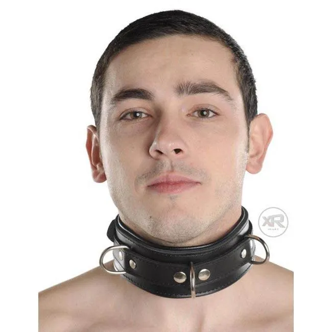 Strict Leather Premium Locking Collar